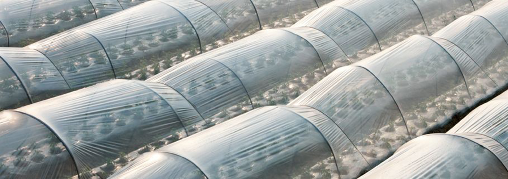 Folie de tuneluri (5)