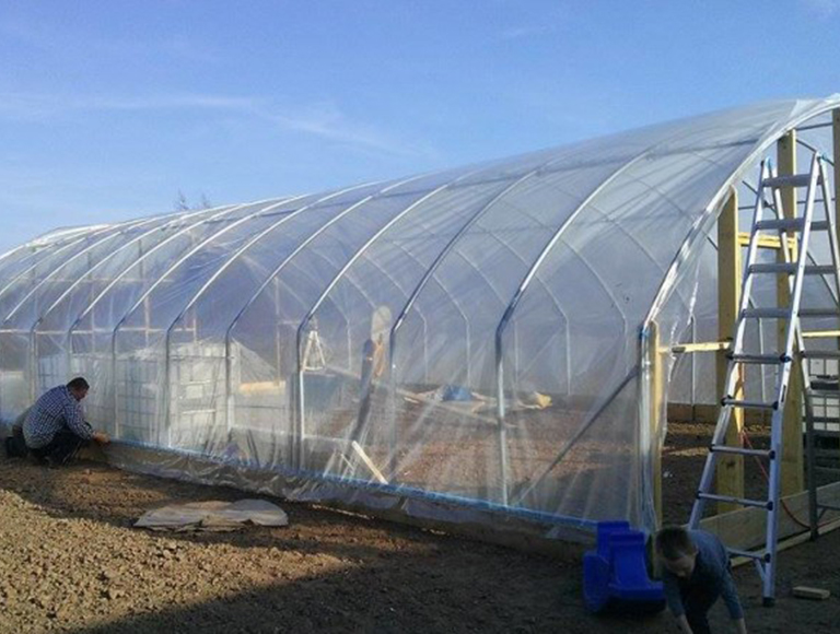 SunCover Clear (6) small