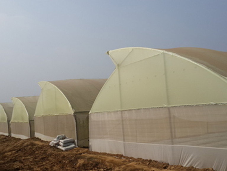 Folie Galbena SunCover  (1) small