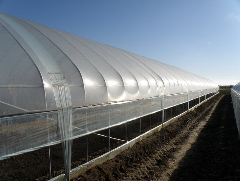 SunSaver Clear  (1)