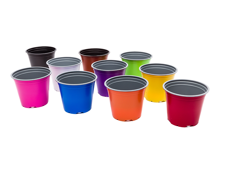 Ghivece colorate & trendy cu sectiune rotunda