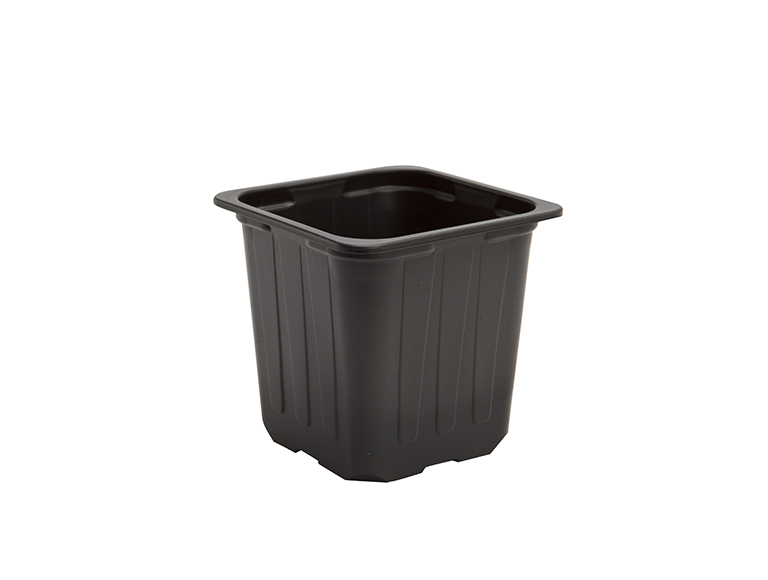 Ghivece de productie cu sectiune patrata