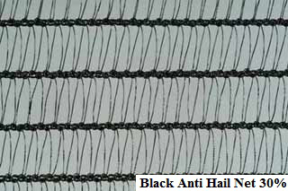 Black Anti Hail Net 30 (1)