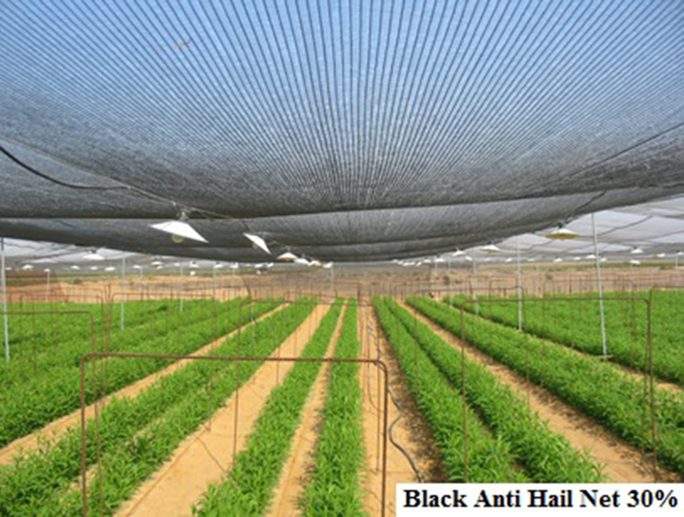 Black Anti Hail Net 30 (2)