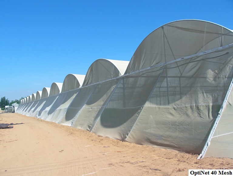 OptiNet 40 Mesh (1)