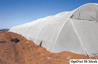 OptiNet 50 Mesh (2)