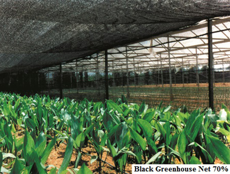 Black Greenhouse Net 70 (1)