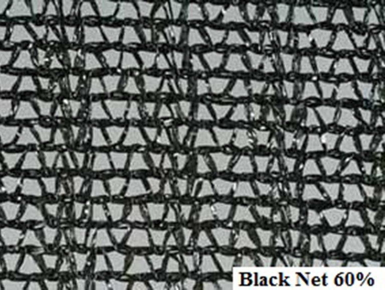 Black Net 60