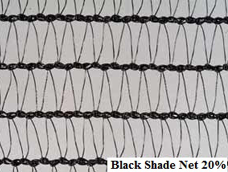 Black Shade Net 20