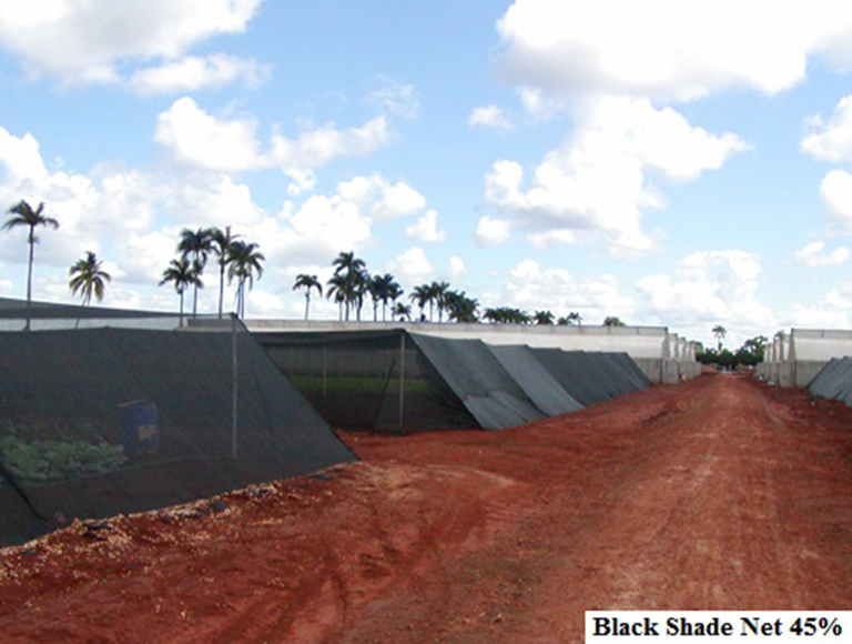 Black Shade Net 45 (2)