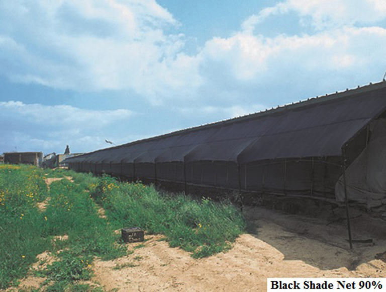 Black Shade Net 90 (1)