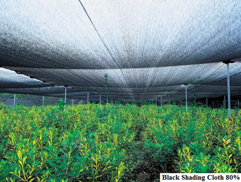 Black Shading Cloth 80 (1)