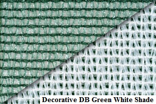 Decorative DB Green White Shade (1)