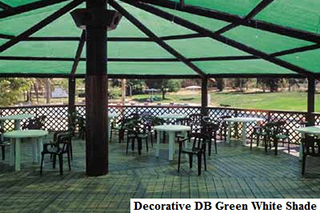Decorative DB Green White Shade (2)