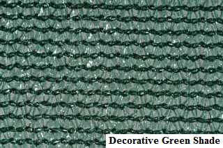 Decorative Green Shade (1)