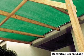Decorative Green Shade (2)