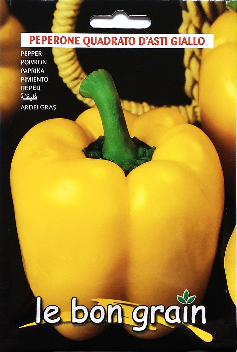 Quadrato D'asti Giallo