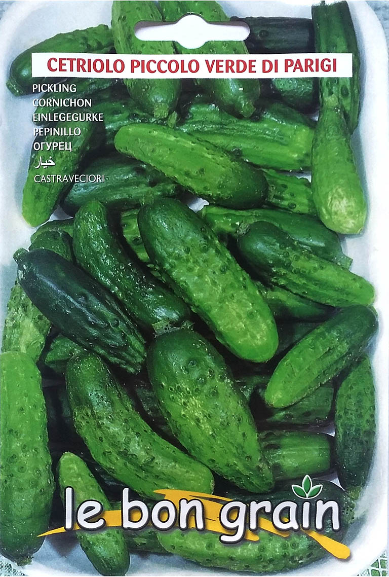 Piccolo Verde Di Parigi