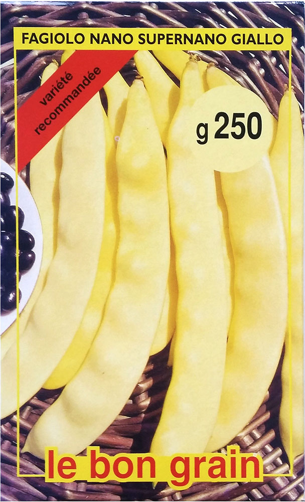 Meraviglia Di Venezia (Nano)