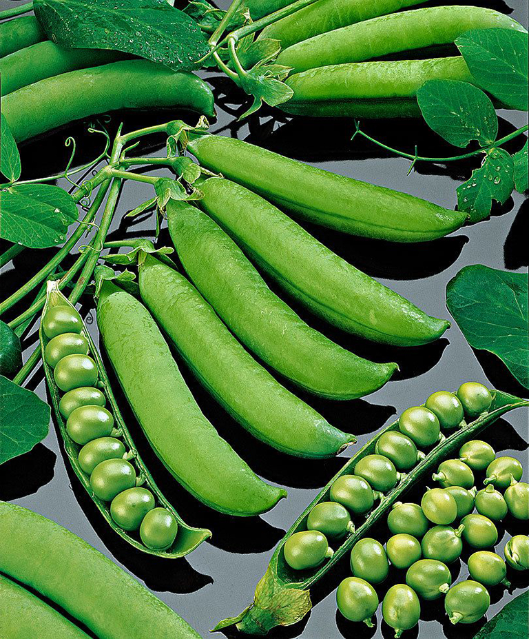 Mazare Kelvedon RACI