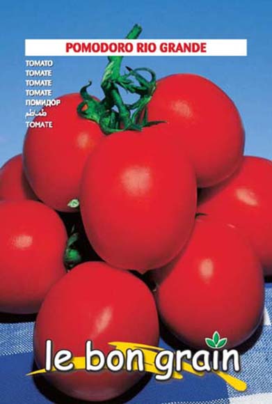 TOMATE Rio Grande