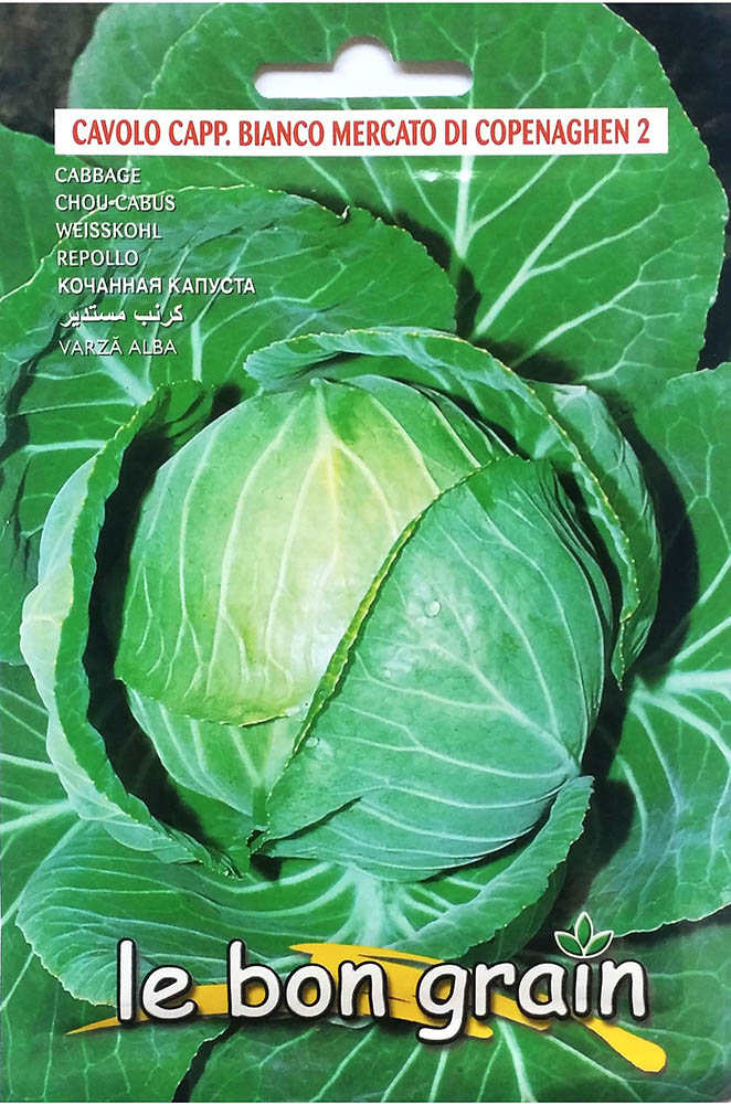 Mercato De Copenaghen