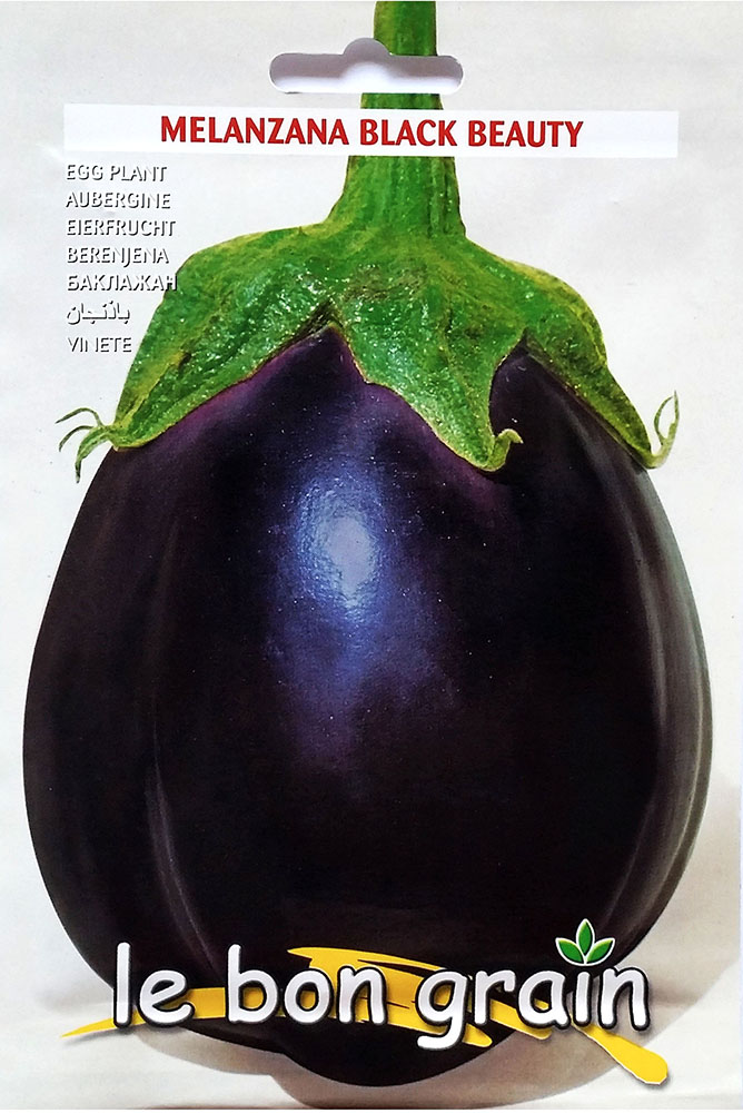 Monstruosa Di New York ( Black Beauty)